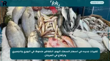تغيرات جديدة في أسعار السمك اليوم: انخفاض ملحوظ في البوري والجمبري وارتفاع في المرجان.